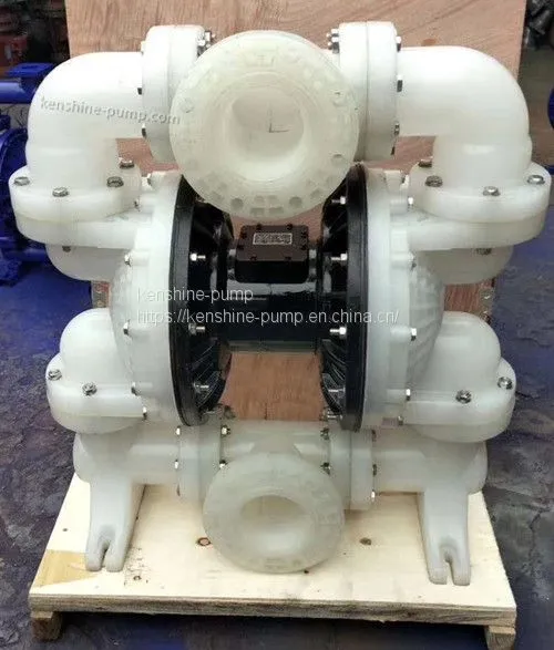 QBW Hygienic Pneumatic Diaphragm Pump photo-3