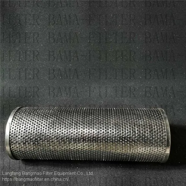 BANGMAO Replacement Stainless Steel 10 Micron Hydraulic Oil Filter ESC61GMF Filter Element photo-3