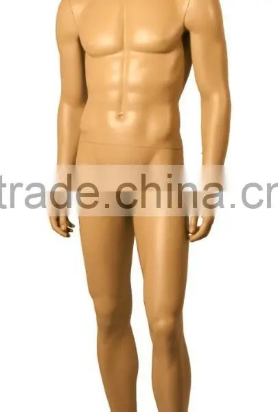 Make up Mannequin,sexy Lifelike Male Mannequin