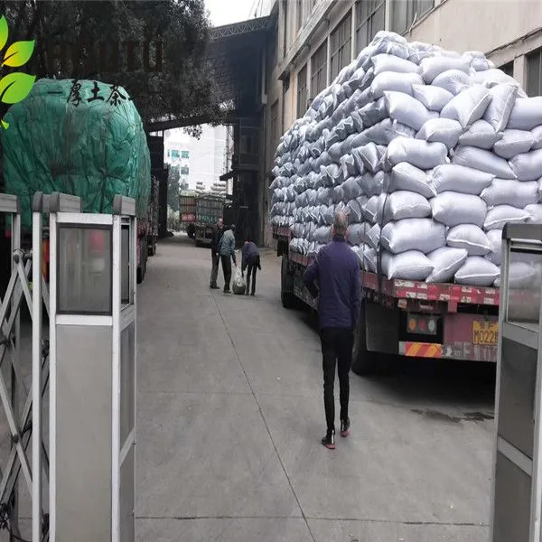 Wholesale the Vert 4011 Chunmee Tea to Africa and Europe Market photo-5