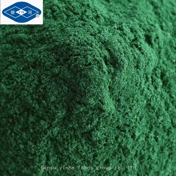 Freeze Dried Spinach Powder photo-4
