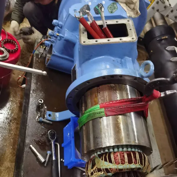 Repair of Carrier Compressor Due to Water Ingress in Asia-pacific Central Air Conditioning Unit, Replacement of Bearings for Hanbell lt - s - 83/41 photo-2