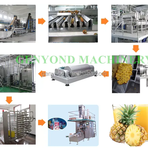 Automatic Pineapple Production Line Pineapple Juice Hpp Juice Processing Equipment photo-6