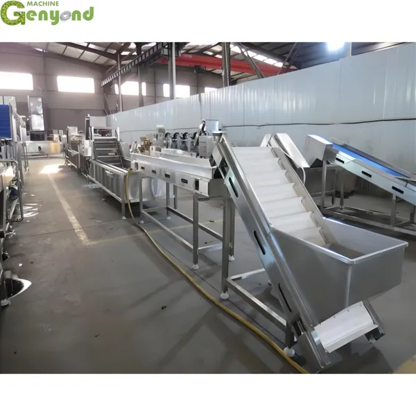 Raisin Drying Machine Hotsell Industrial Raisin Washing and Drying Machinery Dates Cleaning Line photo-3