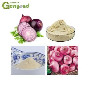 Shanghai New Fruit and Vegetable Dehydration Machine Core Components Incl. Bearing PLC Pump and Motor for Restaurant Use photo-2