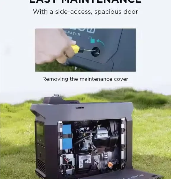 Generator Cerdas EcoFlow Berkapasitas Tinggi 220V Dual Fuel, Tenaga Gas Cair Dan Panel Surya, Cadangan Daya Darurat Dengan Remote photo-2