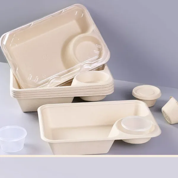 6-Cell Compartment Tray, Molded Pulp Sugarcane Bagasse, Bagasse Pulp,sugarcane, Compostable Plant Fiber