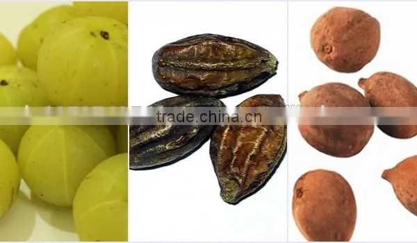 Original Triphala Powder Bulk Producers photo-3