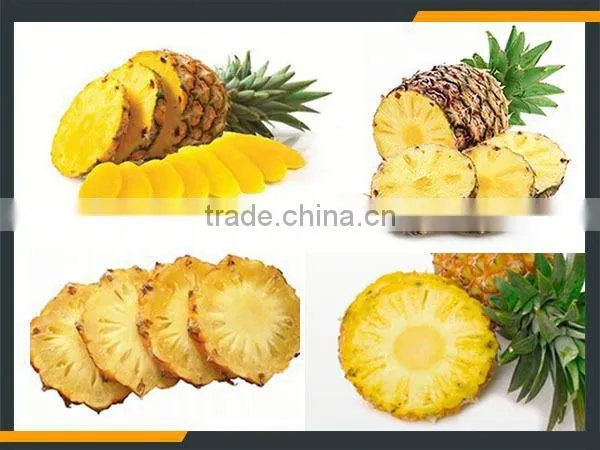 Leader Pineapple Peel and Pulp Separater With Low Power Consumption photo-5