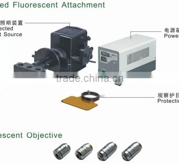 NIB-100F Professional Trinocular Inverted Fluorescent Biological Microscope With Camera photo-2