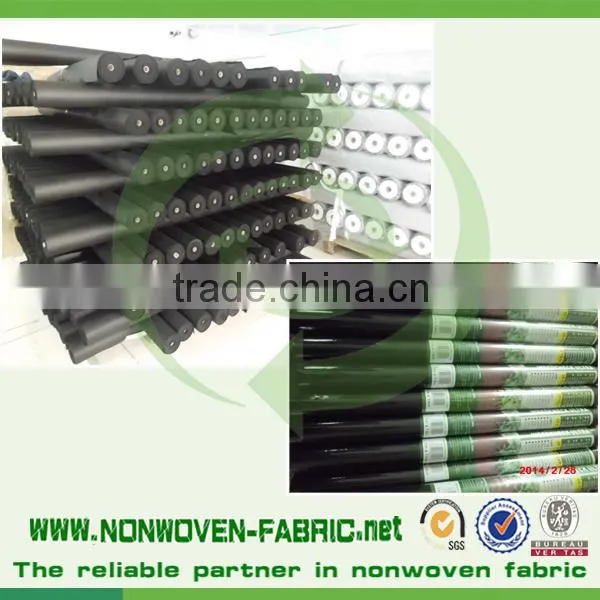 Anti-UV Treatment pp Spunbond Nonwoven Fabric Agriculture Cover/pp Spunbond Tunnel Supplier's Choice photo-5