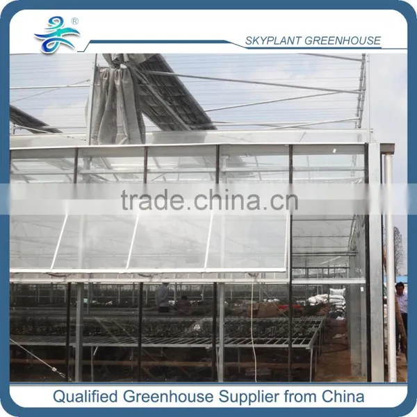 High Quality Glass Greenhouse for Vegetable Quality Choice photo-4