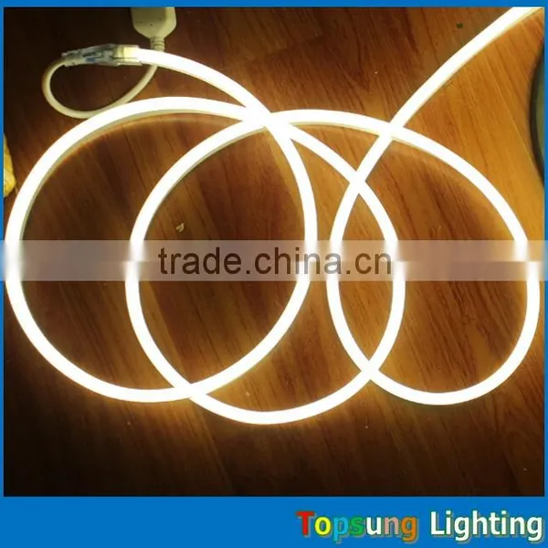IP67 IP Rating Led Neon Strip Mini 8*16mm DC 24v 6w/m Super Bright Neon Lights photo-3