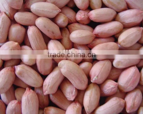 Roasted Peanut in Shell for Recipes photo-3