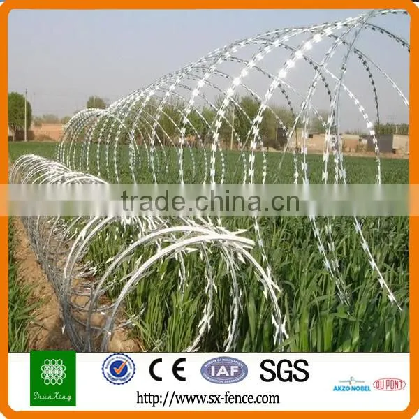 High Quality Razor Barbed Wire / Razor Wire for Security photo-3