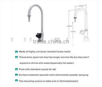 Bench Mounted 1-way High Head Lab Water Faucet in Physics/Chemistry/Maths Laboratory photo-3
