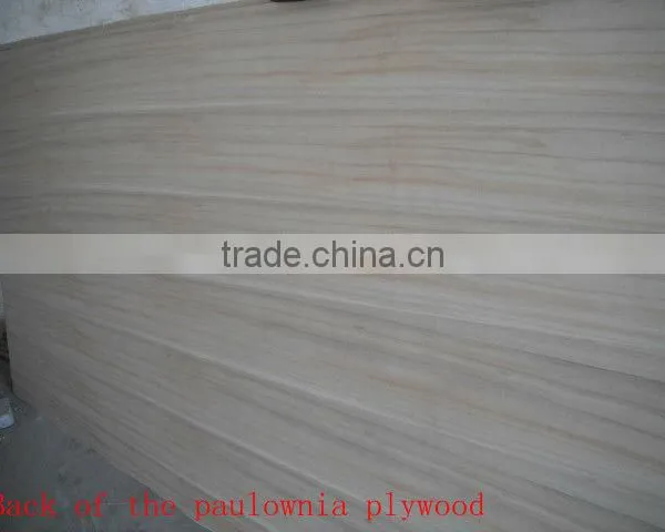 High Quality Plywood Door Designs Photos/price of Marine Plywood in Philippines photo-2