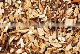 EUCALYPTUS WOOD CHIPS