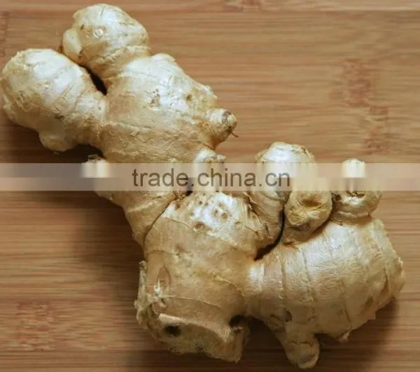 AIR DRIED GINGER 150G UP photo-6