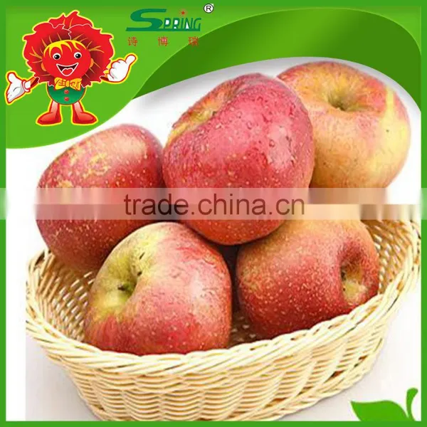 Fuji Apples High Quality Without Chemical Pesticide Fuji Apple photo-5