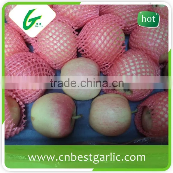 Fresh Chinese New Crop Red Gala Apple Wholesales photo-3