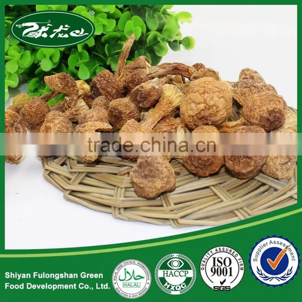Wholesale Good Quality Dried Matsutake Mushroom photo-3