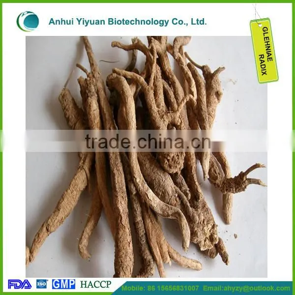 Light Yellow Radix Glehniae and Coastal Glehnia Root Cut photo-2