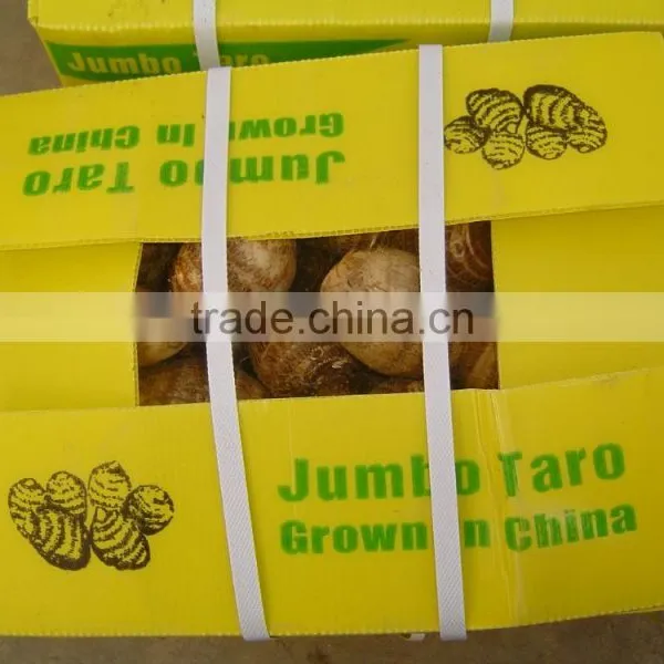 Fresh Taro photo-6