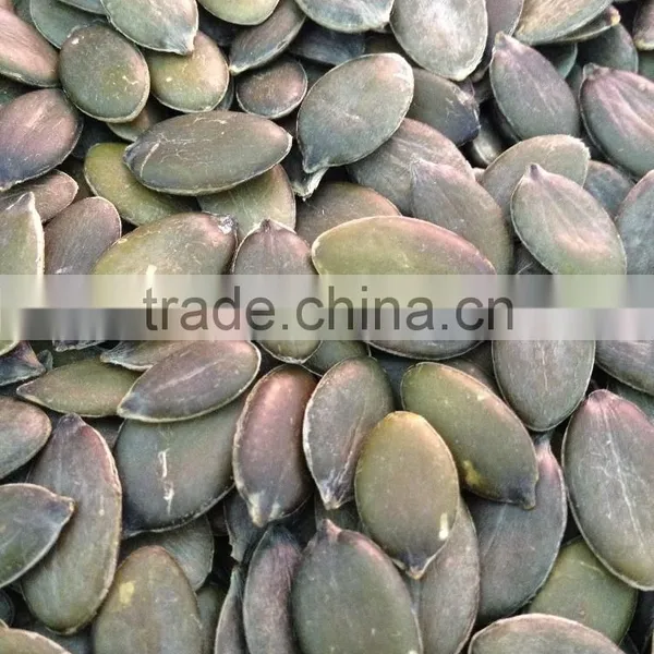 GWS Pumpkin Seeds Kernel Grade AA photo-4
