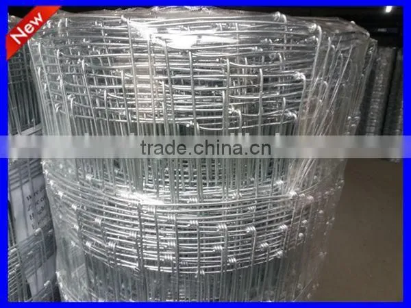 DM Hot Sale HDG High Quality Field Fence ( Anping Factory ) photo-6
