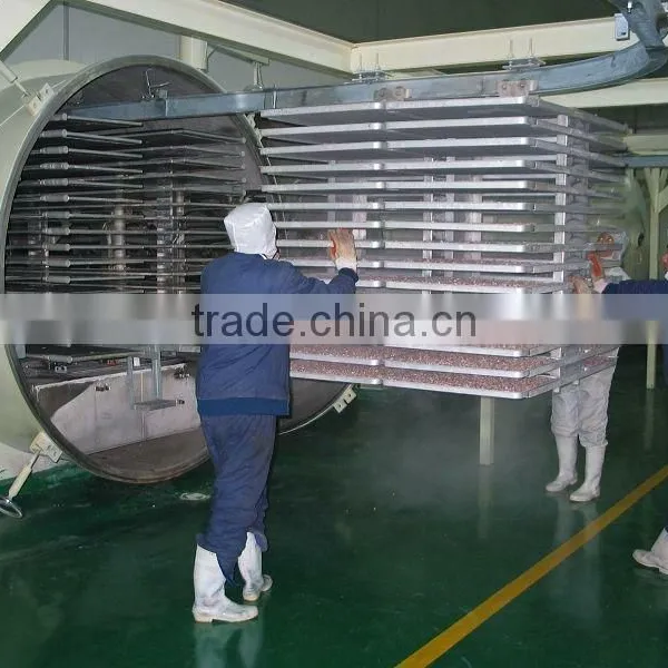 High Quality Lemon Freeze Dryer photo-3