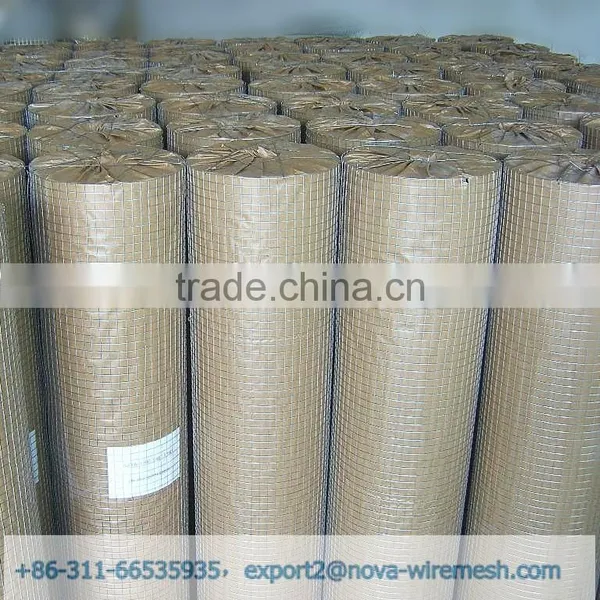China Supplier, Animal Wire Mesh/chicken Netting/chicken Cage photo-5