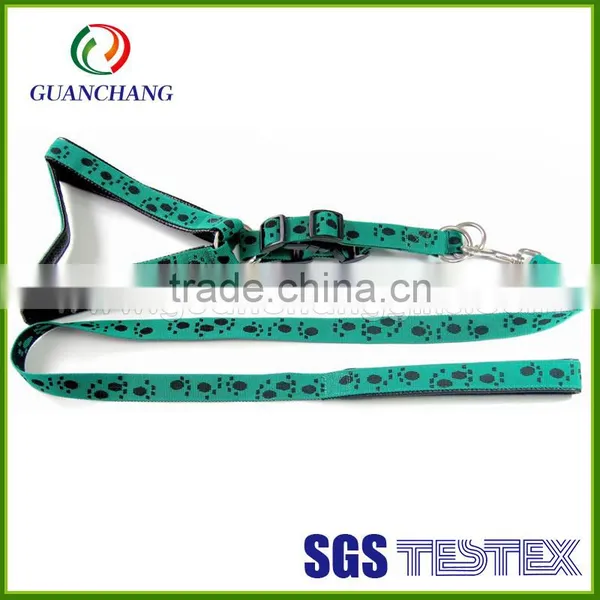 Dongguan New Products 2015 Nylon Dog Collar and Leash photo-3