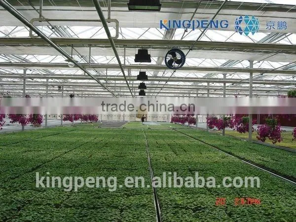 PC Sheet Greenhouses photo-3