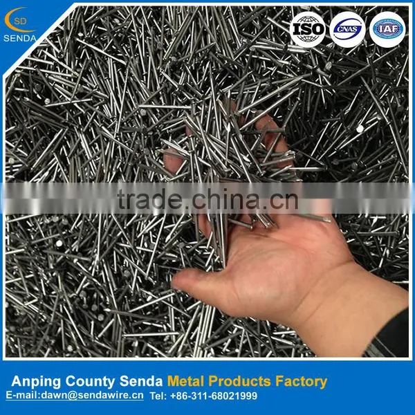High Quality Polished Iron Nails/ Common Nails Factory photo-2
