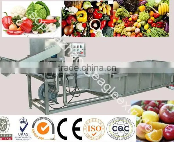 Multifunctional Vegetable Washing Machine