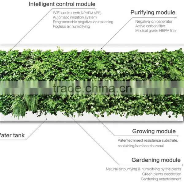 Green Wall System Vertical Hanging Garden Grass Wall With Planter and ECO Green Wall photo-3