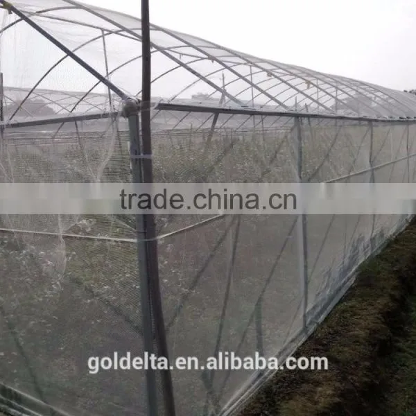Anti Insect Netting