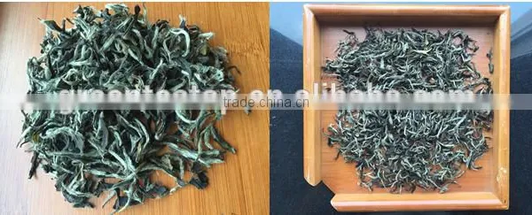 Organic Whitea Tea 2g*20 Bags/box White Tea With Organic Certificate Organic White Tea Bag Healthy Chinese White Tea / Made in photo-4