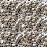 Cotton Seeds