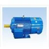 YVP Series Three-phase Frequency Controlled Asynchronous Motor