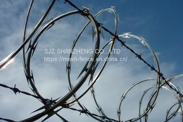 Hot Dipped Galvanized Razor Barbed Wire Security Fence Wire photo-4