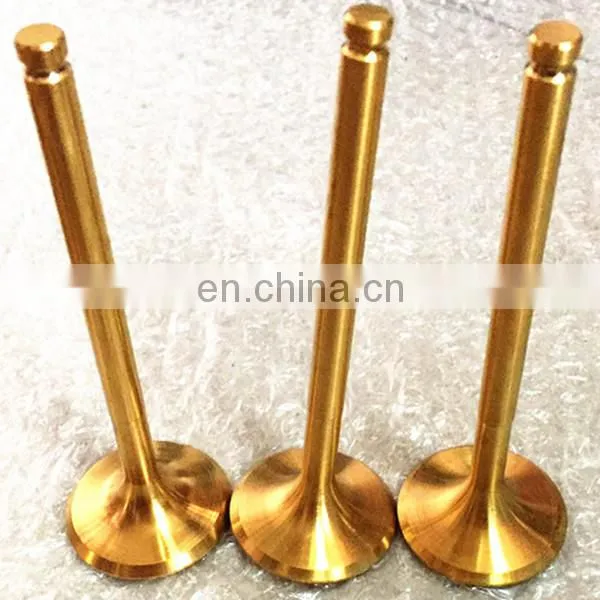 100cc 250cc Motorcycle Parts Engine Valves For Pagsta Choppa 100 Cruisa 250 KRB 250 Krb250 Sports photo-2