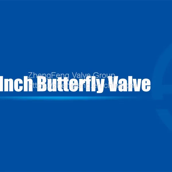 12 Inch Butterfly Valve