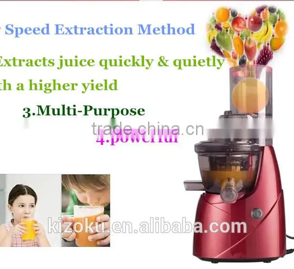 Factory Price Whole Slow Juicer Extractor, Pomegranate Juicer photo-2