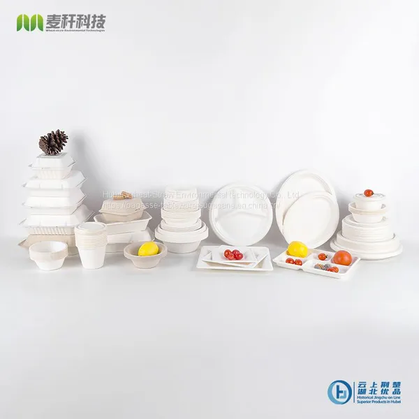 OEM ODM Eco Friendly Disposable Biodegradable Sugarcane Pulp Bagasse Sugar Cane Tableware 4 6 7 8 9 10 12 inch Food Round Plate