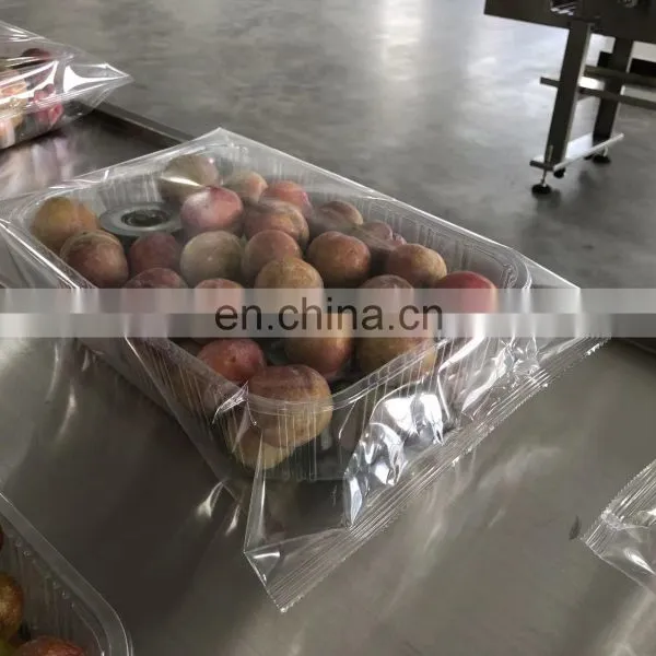 High Quality Fresh Fruit Prune Cherry Automatic Horizontal Wrapper Pillow Packing Machine Flow Wrapping Machine photo-4