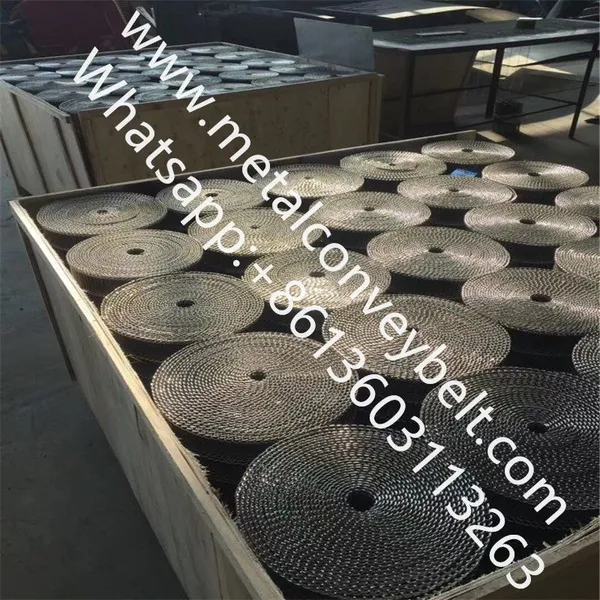 Stainless Steel 304 316 Chocolate Enrober Flat Flex Conveyor Belt photo-3