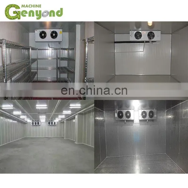 Vegetable/fruit/flower/meat/fish/sea Food/chicken Chill Hourse/freezer Room/cold Storage/refrigeration Units photo-2