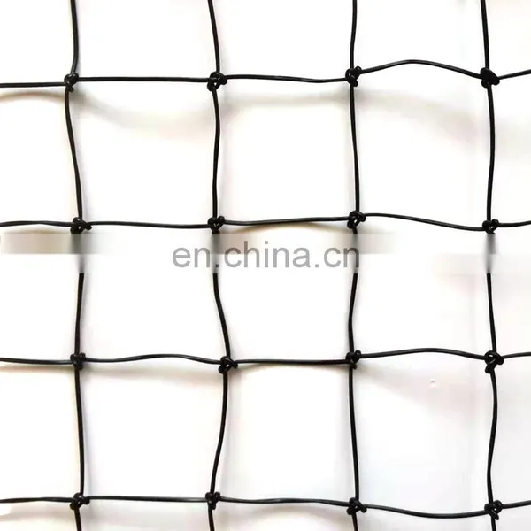 Heavy Duty PE UV Stabilizer Birds Net Anti Bird Netting Plastic Net in Black Color and Stone Color photo-2